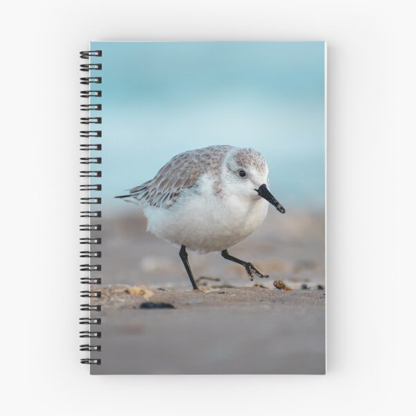 Item preview, Sandpiper playing in the sand  designed and sold by BowToe.