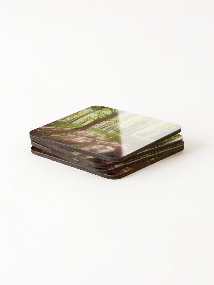 Thumbnail 4 of 5, Coasters (Set of 4), Forest Light designed and sold by RJDowns.