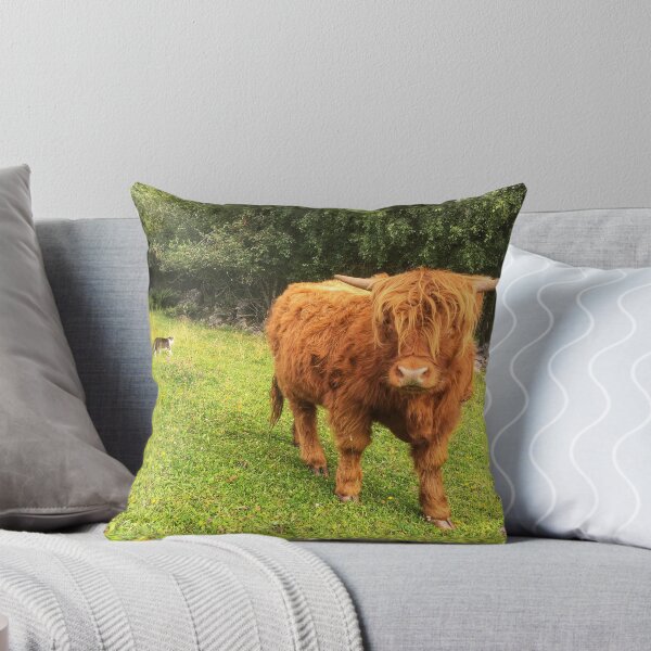 Item preview, Scottish Highland Cattle Calf 2064 designed and sold by SaarelaHighland.
