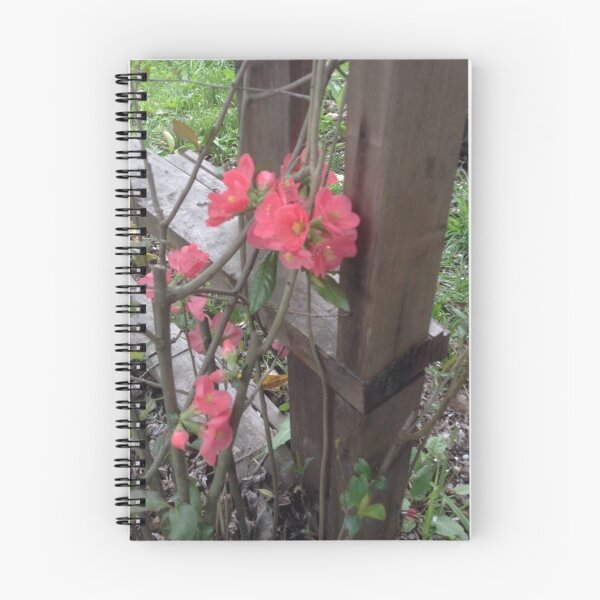 Item preview, Pinky Flowers From The Garden designed and sold by pinkyjainpan.