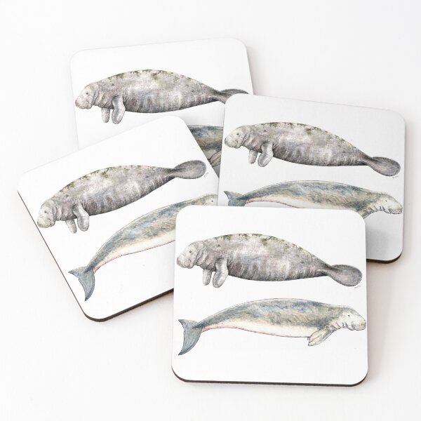 Item preview, Sea cows: Manatee and Dugong designed and sold by chloeyzoard.