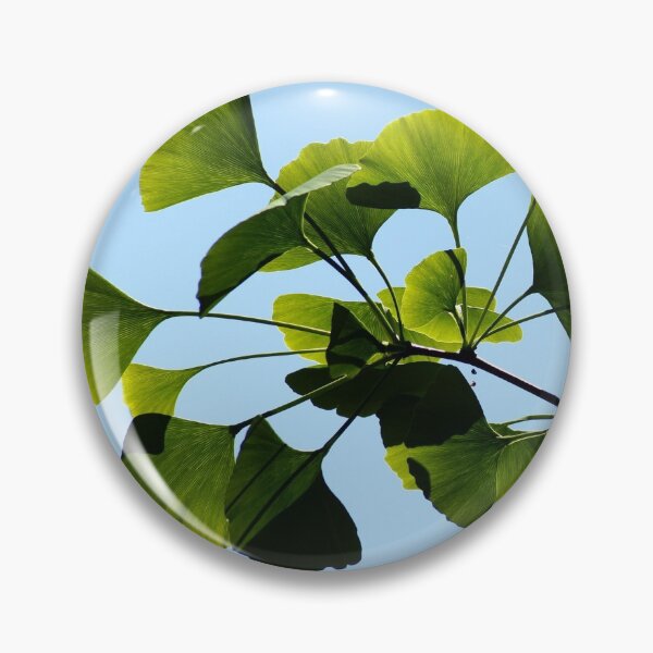 Item preview, Gingko Biloba Tree designed and sold by Fruitsome.