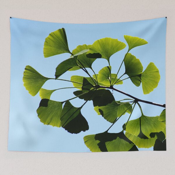 Item preview, Gingko Biloba Tree designed and sold by Fruitsome.