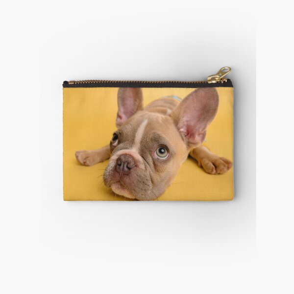 Item preview, the dog is waiting for its master designed and sold by Boy2019.