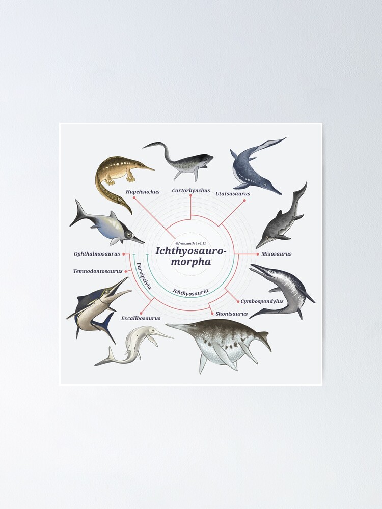 Alternate view of Ichthyosauromorpha: The Cladogram Poster
