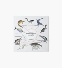 Ichthyosauromorpha: The Cladogram Art Board