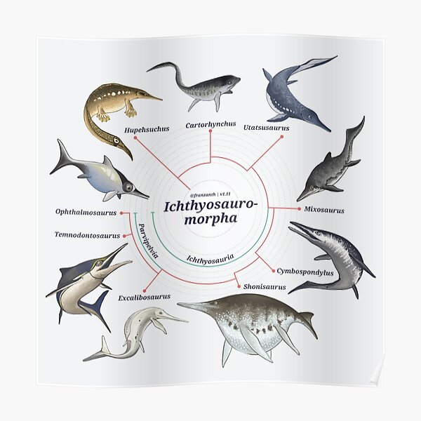 Ichthyosauromorpha: The Cladogram Poster