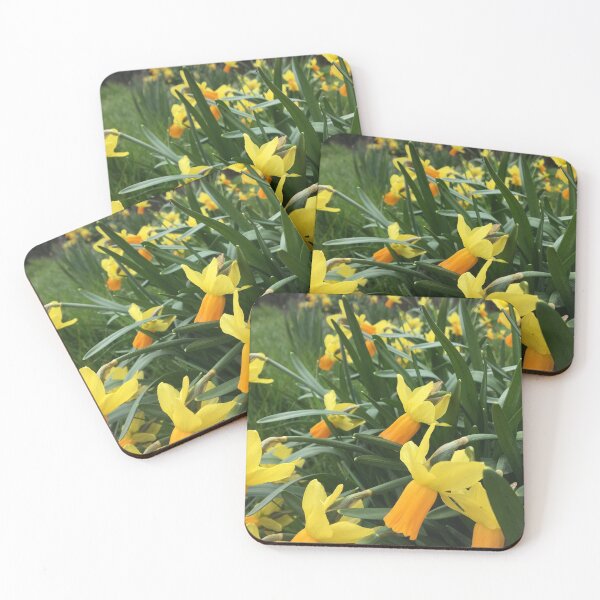 Item preview, Spring has Sprung! Daffodils have arrived for Easter! designed and sold by Bucklandcrafts.