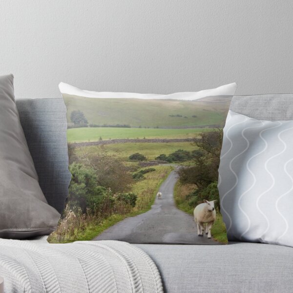 Aperçu de l'œuvre Sheep on't Road - Swaledale, UK créée et vendue par GeorgeOne.