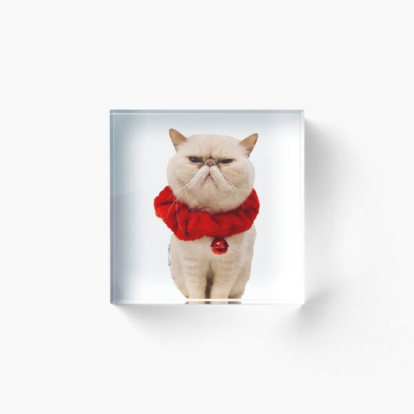 Item preview, Exoticchubbz CAT (Vacaciones) designed and sold by sandiesque.