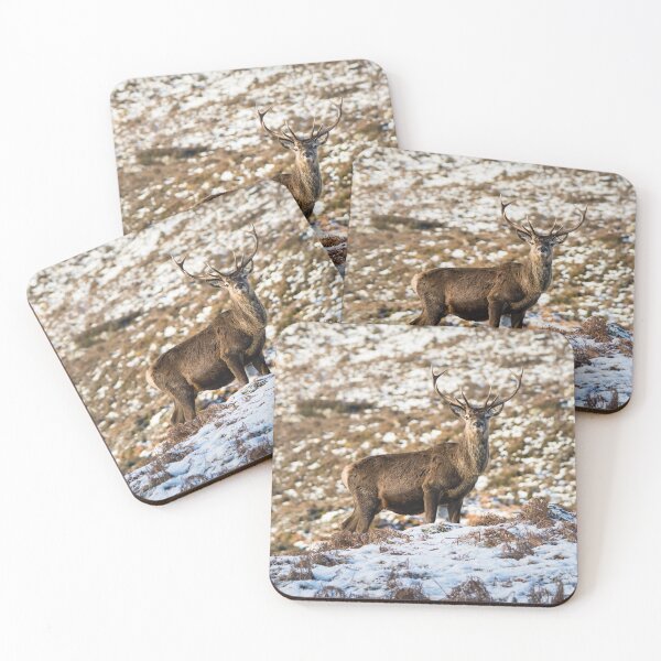 Item preview, Portrait of a Stag designed and sold by KGrainger-Photo.