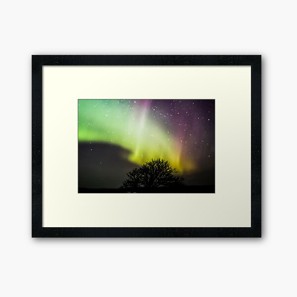 Callanish tree and aurora Framed Art Print