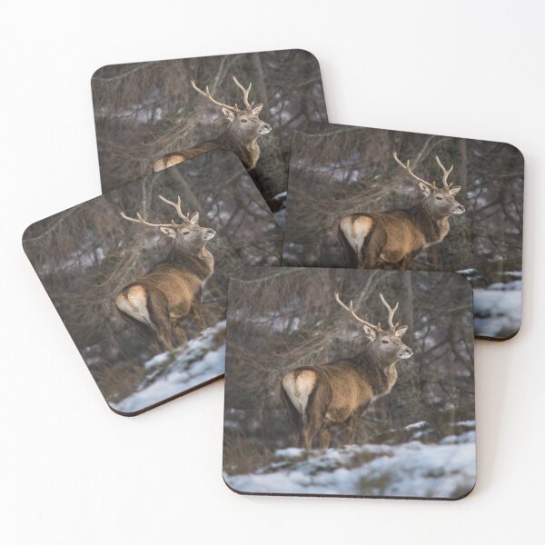 Item preview, Stag Outlook designed and sold by KGrainger-Photo.