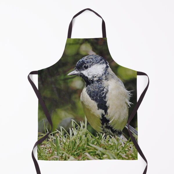 Item preview, r1503/ Super New Finition 2021- Birds b 35 (c)(t) by Olao-Olavia / Okaio Créations designed and sold by o.okaïo.