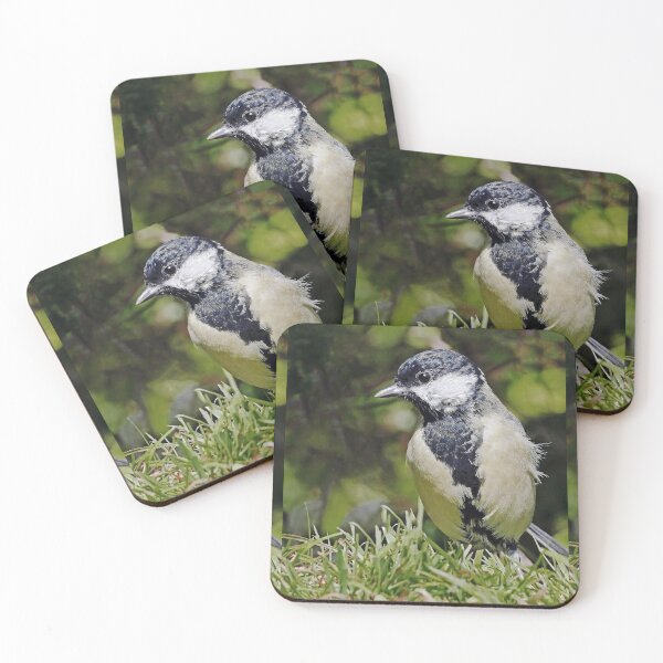 Item preview, r1503/ Super New Finition 2021- Birds  b 35 (c)(t)  by Olao-Olavia / Okaio Créations   designed and sold by o.okaïo.