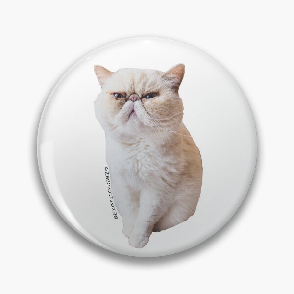 Item preview, Meme Gato Exoticchubbz designed and sold by sandiesque.