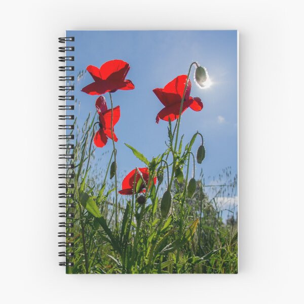Item preview, Poppies designed and sold by Tony Skerl.