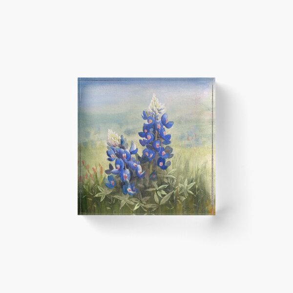 Item preview, Bluebonnets in Field designed and sold by suzywarestudio.