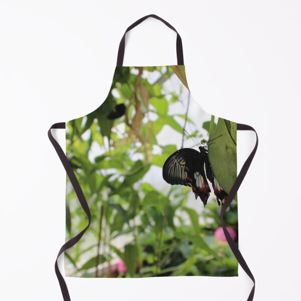 Item preview, Butterfly House at Blenheim Palace designed and sold by Bryony Rose.