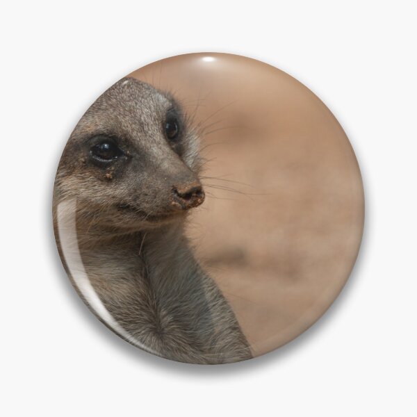 Item preview, Meerkat portrait designed and sold by pietrofoto.