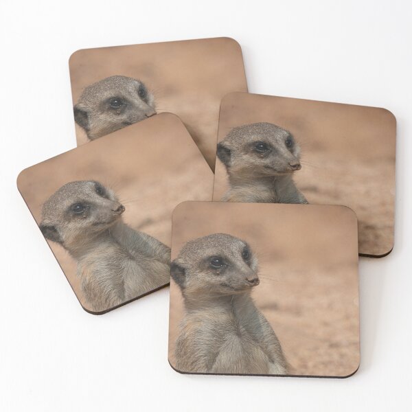 Item preview, Meerkat portrait designed and sold by pietrofoto.