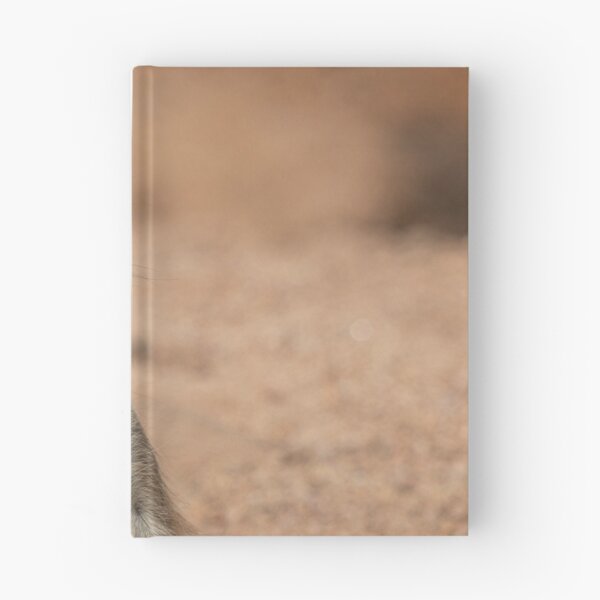 Item preview, Meerkat portrait designed and sold by pietrofoto.