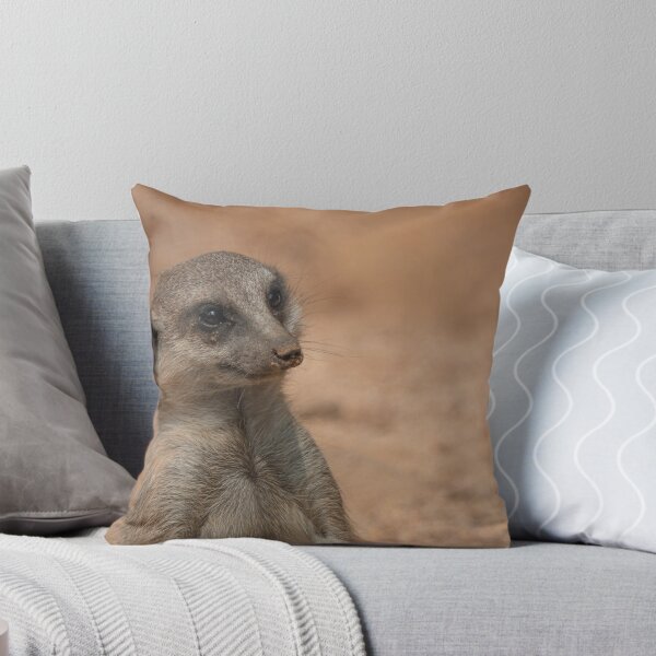Item preview, Meerkat portrait designed and sold by pietrofoto.