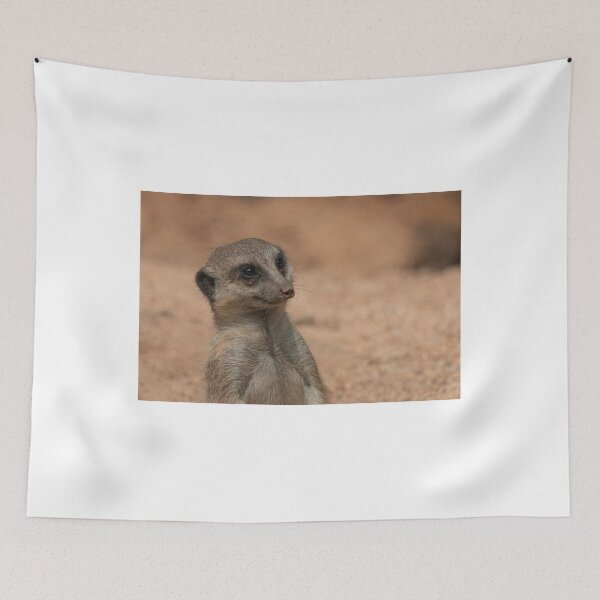 Item preview, Meerkat portrait designed and sold by pietrofoto.