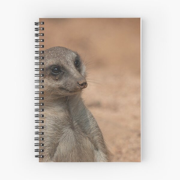 Item preview, Meerkat portrait designed and sold by pietrofoto.