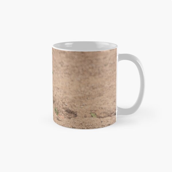 Item preview, Meerkat designed and sold by pietrofoto.