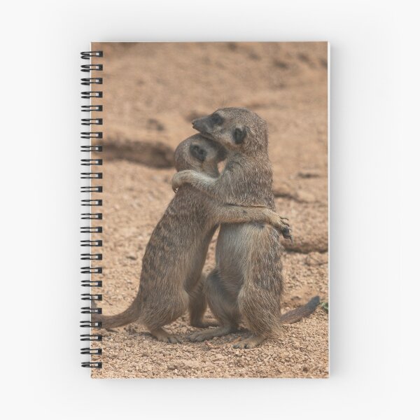 Item preview, Two meerkats designed and sold by pietrofoto.