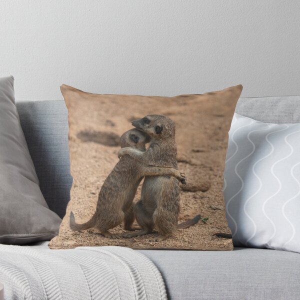 Item preview, Two meerkats designed and sold by pietrofoto.