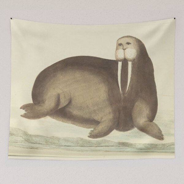 Item preview, Vintage Walrus Illustration  designed and sold by The Mad Hermit.