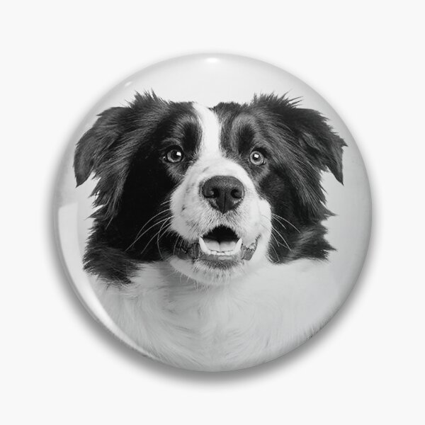 Item preview, Border Collie dog - BW Vintage - D8 designed and sold by DecoVintage.