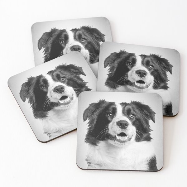 Item preview, Border Collie dog - BW Vintage - D8 designed and sold by DecoVintage.