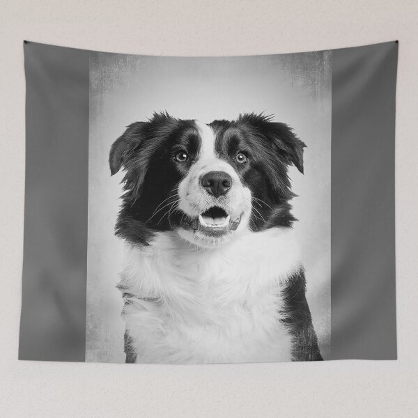 Item preview, Border Collie dog - BW Vintage - D8 designed and sold by DecoVintage.