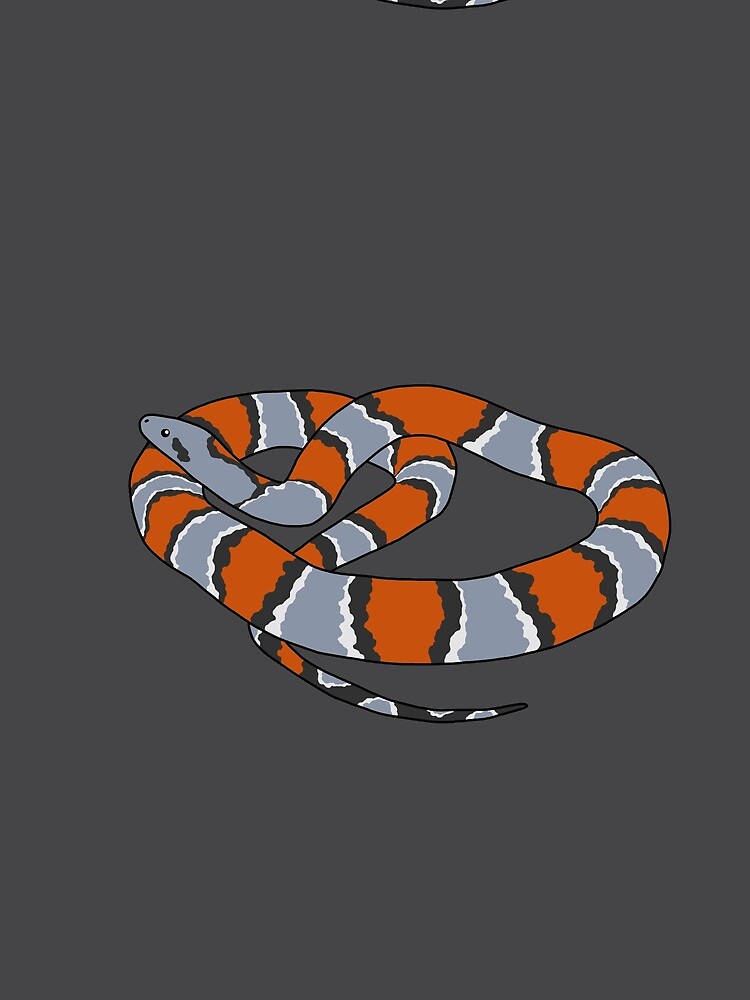 kingsnake shirt