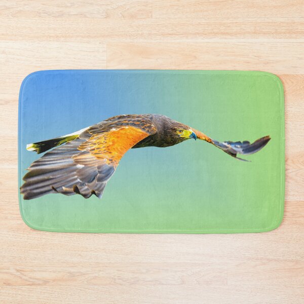 Item preview, Harris Hawk on patrol designed and sold by Dalyndigital Photography.
