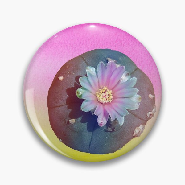 Item preview, Lophophora "Peyote" Williamsii 2 designed and sold by Fruitsome.