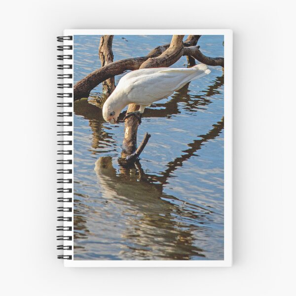 Item preview, Corella Reflection designed and sold by WendyJC.