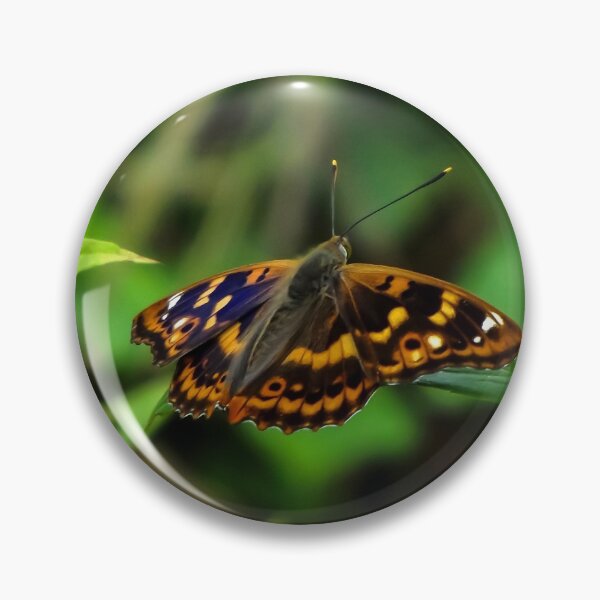 Item preview, Butterfly designed and sold by Guardi71.