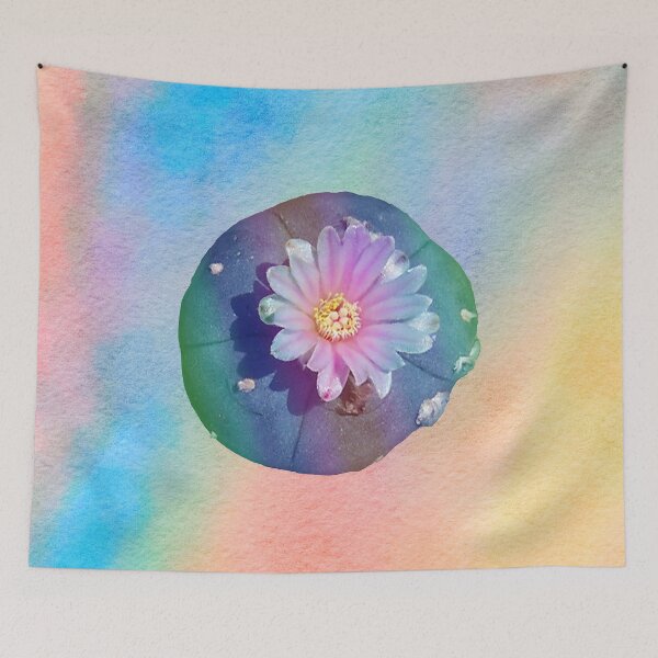 Item preview, Payote psychedelic plants designed and sold by Fruitsome.