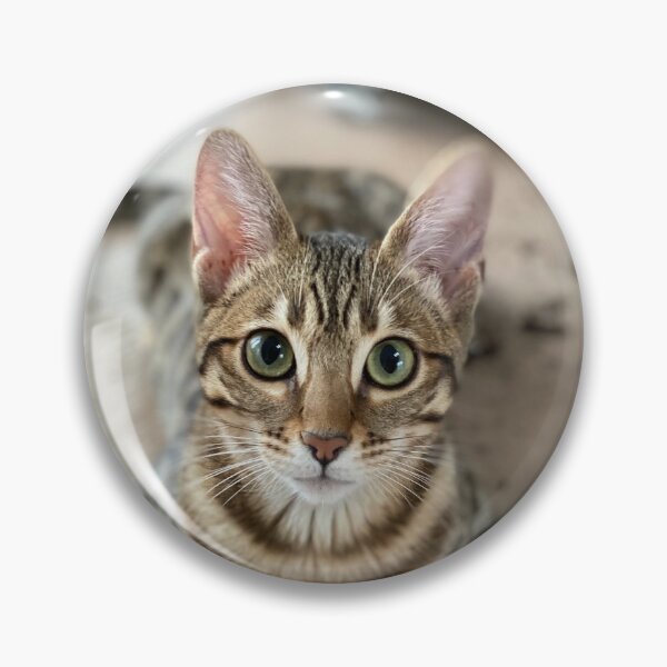 Item preview, toffee designed and sold by kickassyoga.