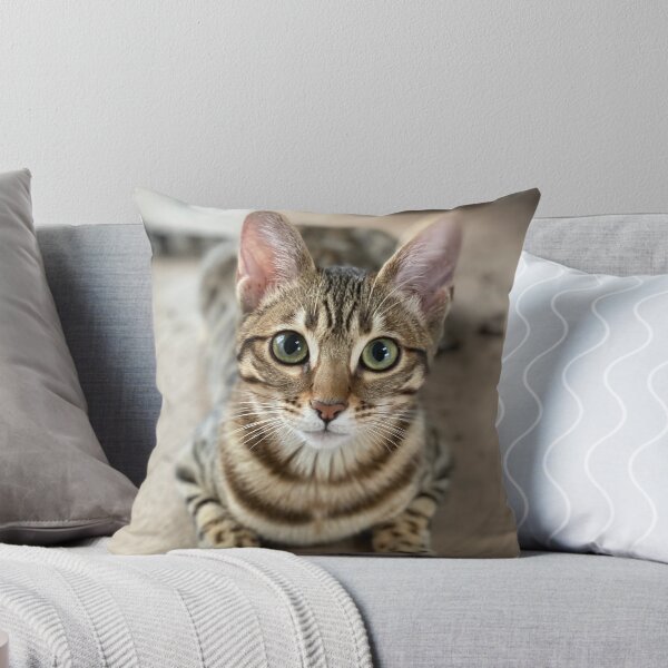 Item preview, toffee designed and sold by kickassyoga.