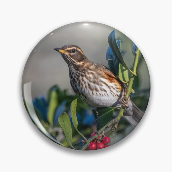 Item preview, Redwing designed and sold by Steve Liptrot Photography.