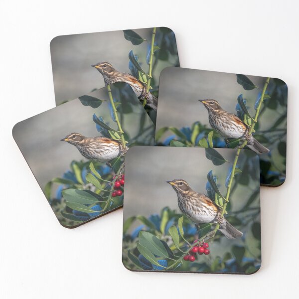 Item preview, Redwing designed and sold by Steve Liptrot Photography.