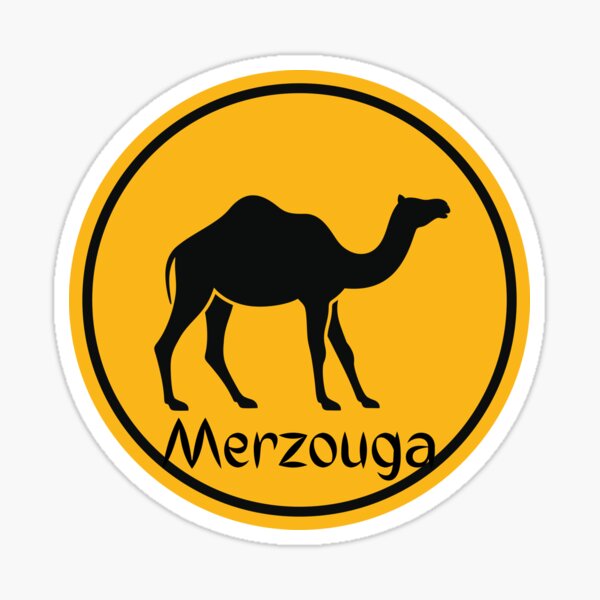 Kamel Merzouga, Kamele in der Merzouga-Wüste Marokko Sticker