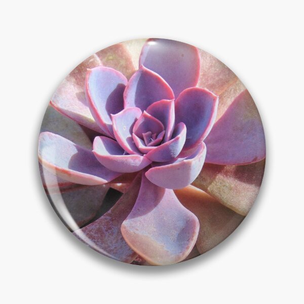 Aperçu de l'œuvre Jolie plante succulente rose créée et vendue par hearthearts.