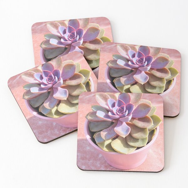 Item preview, Cute Pink Succulent designed and sold by hearthearts.