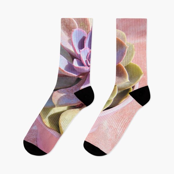 Aperçu de l'œuvre Jolie plante succulente rose créée et vendue par hearthearts.